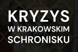 Co się dzieje w krakowskim schronisku? Zaniedbania ze strony KTOZ przyczyną wielkiego kryzysu 