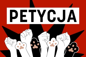 Zakończyć kryzys w krakowskim Schronisku dla zwierząt! Petycja do Prezydenta Krakowa