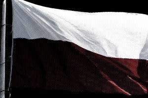 Dwudziesta gospodarka świata: perspektywa krytyczna